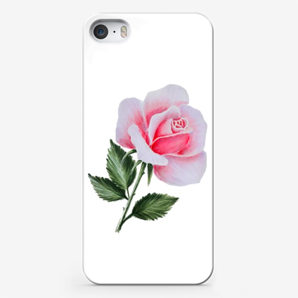 Чехол iPhone «Розовая роза, живопись»