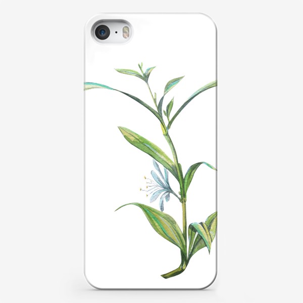Чехол iPhone «Цветок хлорофитум. Акварель.»