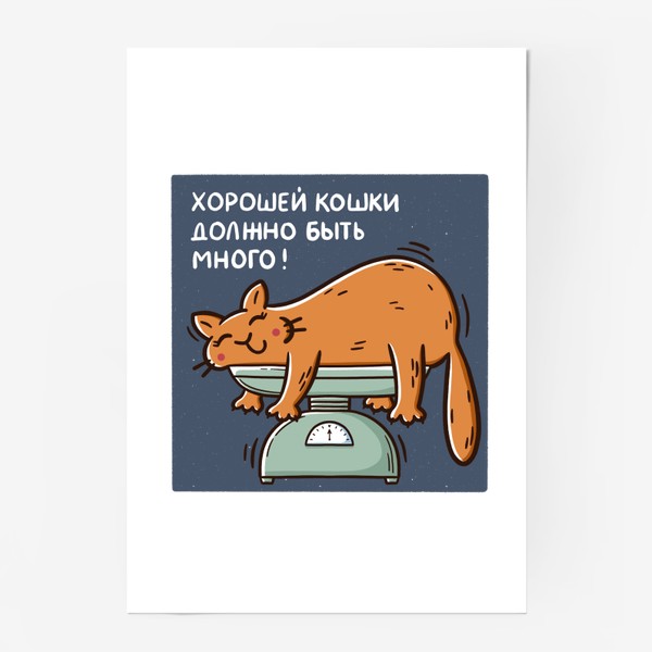 Постер «Милая рыжая кошка на весах. Хорошей кошки должно быть много»