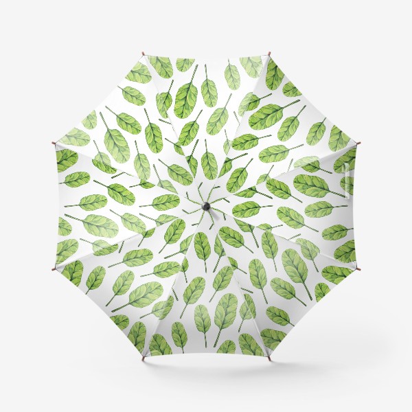 Зонт «Зеленые листья шпината акварель»