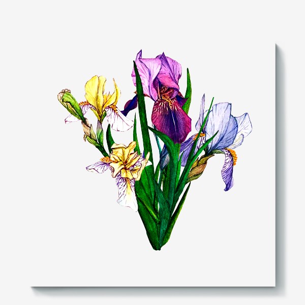 Холст &laquo;Watercolor irises&raquo;
