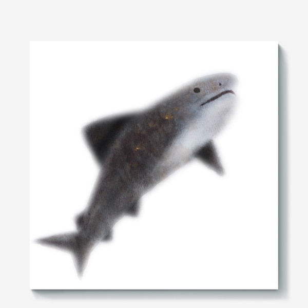Холст «Акула акварельная»