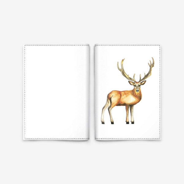 Обложка для паспорта «Лесной олень с рогами акварелью»