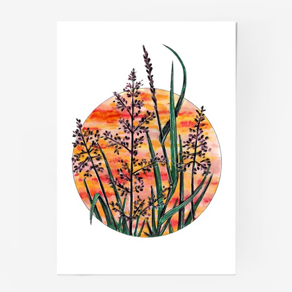 Постер «Летние травы, трава, закат»
