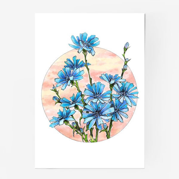 Постер «Цветы, цикорий, синий цветок, круг»