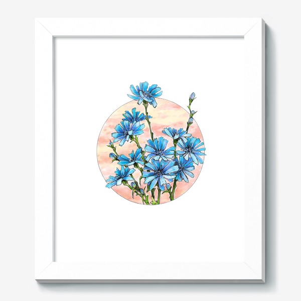 Картина «Цветы, цикорий, синий цветок, круг»