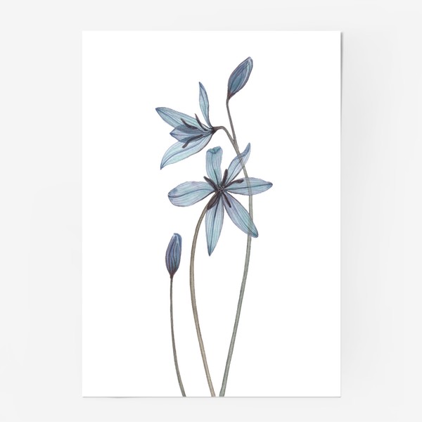 Постер «Голубые цветы»