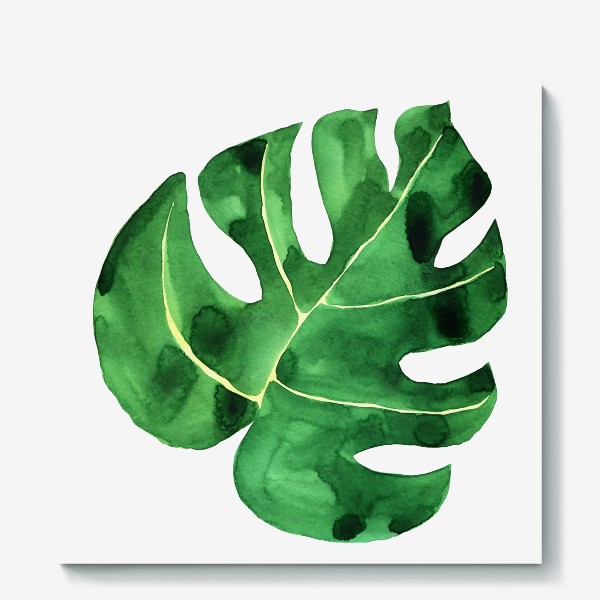 Холст «Зеленый лист монстера акварель»