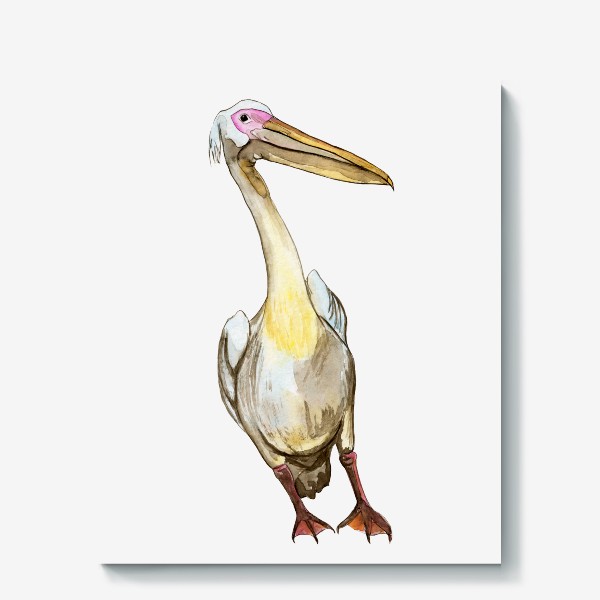 Холст &laquo;Белый пеликан акварель&raquo;