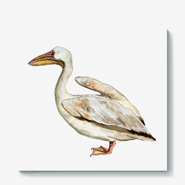 Холст &laquo;Белый пеликан акварельная птица&raquo;