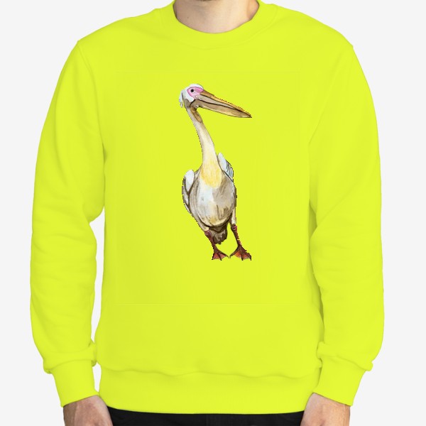 Свитшот «Белый пеликан акварель»