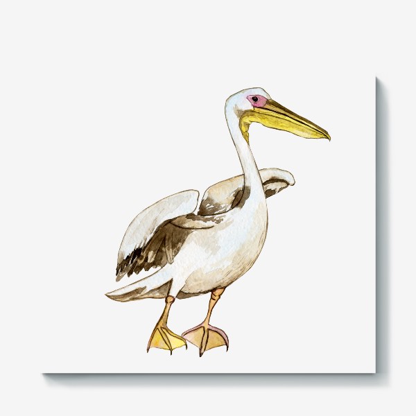 Холст «Белый пеликан акварель»