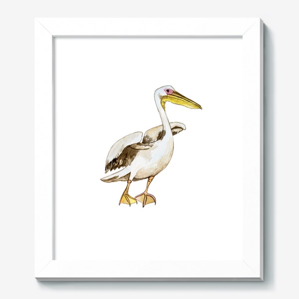 Картина «Белый пеликан акварель»