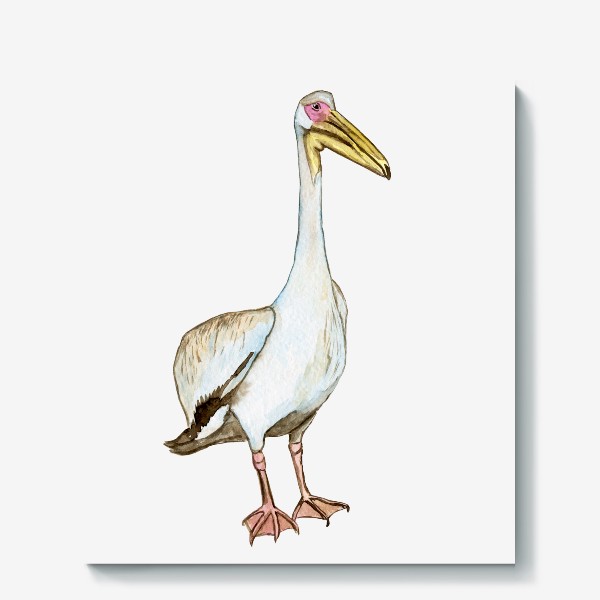 Холст «Акварельный белый пеликан птица»