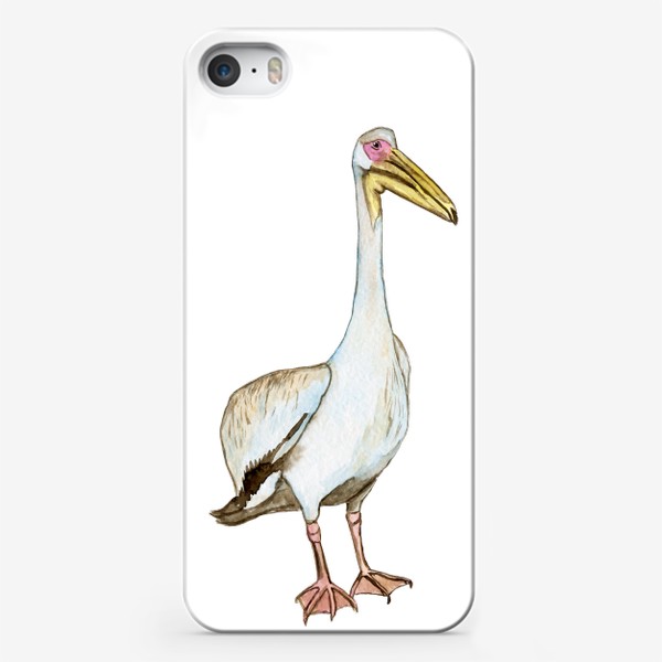 Чехол iPhone «Акварельный белый пеликан птица»
