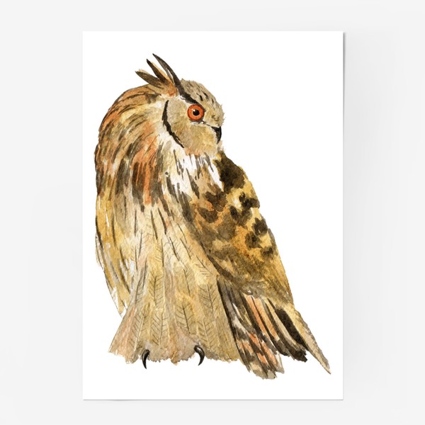 Постер «Птица филин акварель»
