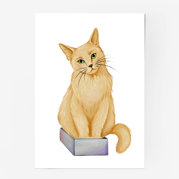 Постер «Рыжий кот в коробке»