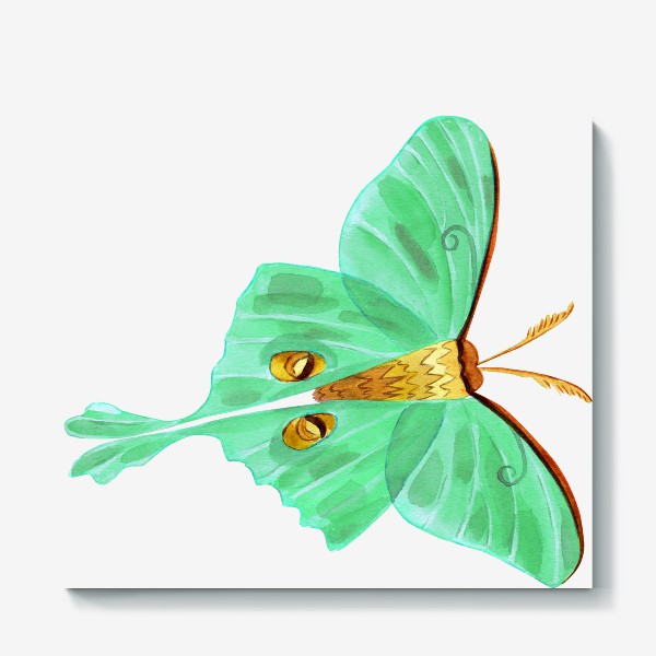 Холст «Зеленая бабочка»