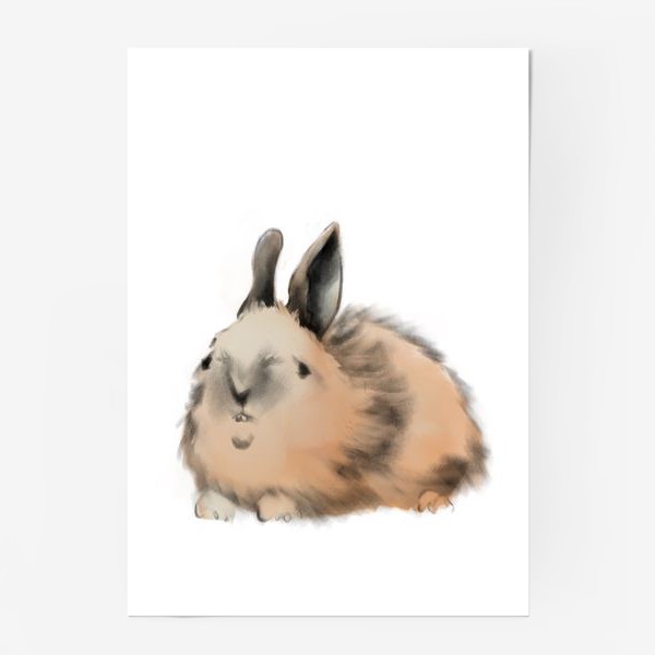 Постер «Кролик»