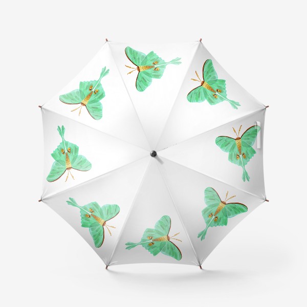 Зонт «Зеленая бабочка»