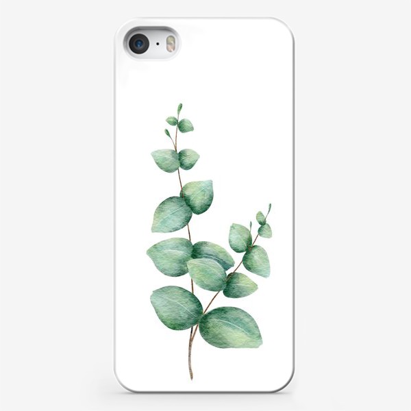 Чехол iPhone «Эвкалипт. Растение. Летний принт.»