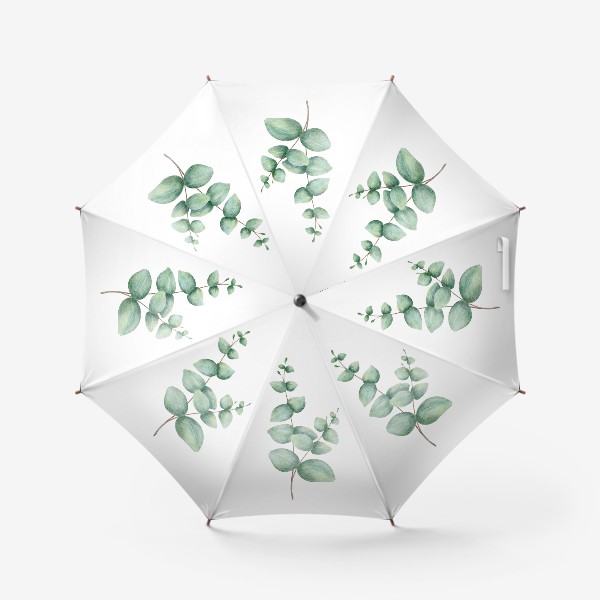 Зонт «Эвкалипт. Растение. Летний принт.»