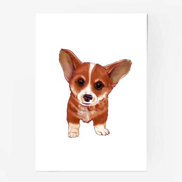 Постер «Собака. Крги щенок.»