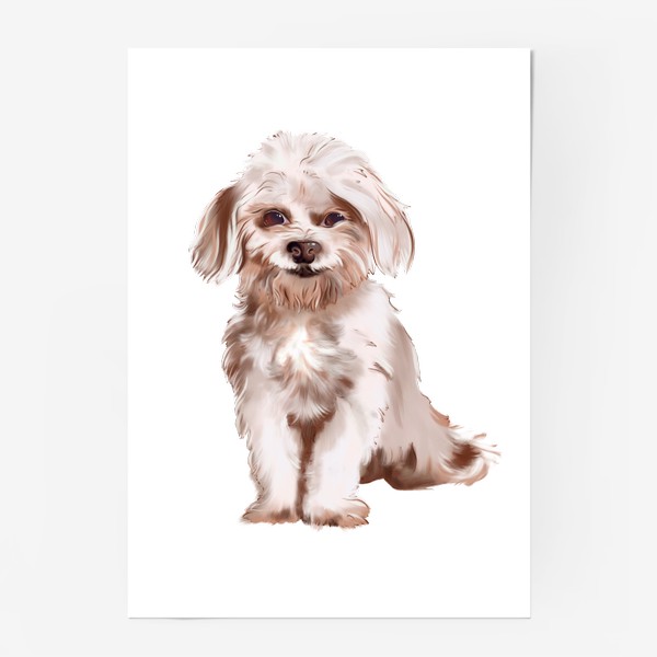 Постер «Собака. Веселый белый пес.»