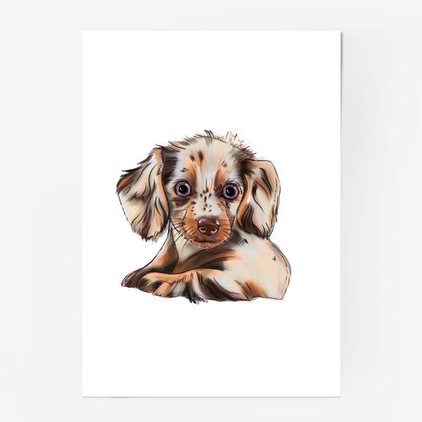 Постер «Собака. Милый щенок»