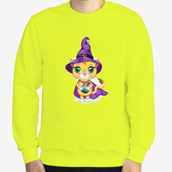 Свитшот «Львица-волшебница в фиолетовом плаще, остроконечной шляпе держит зелье»