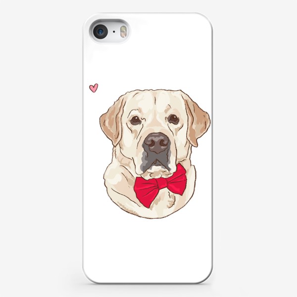 Чехол iPhone «лабрадор ретривер - собаки»