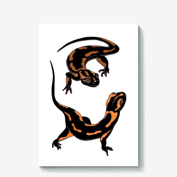 Холст «Pair of playing black salamanders with fiery orange spots - Пара играющих черных саламандр с огненно-оранжевыми пятнами»