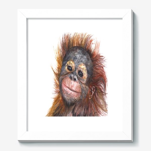 Картина «Детёныш орангутанга»
