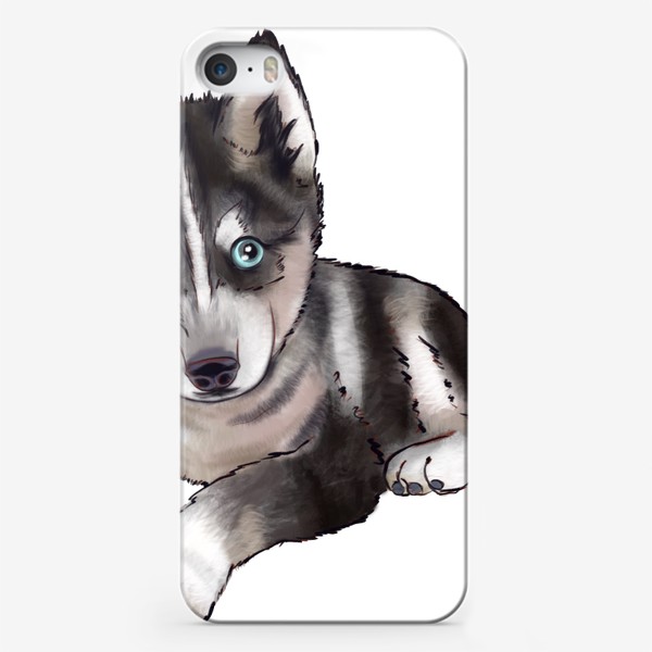 Чехол iPhone «хаски собака»