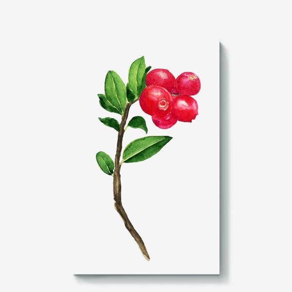 Холст «Брусника акварельная красная ягода Карелии»