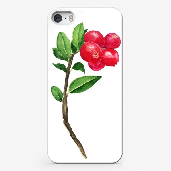 Чехол iPhone «Брусника акварельная красная ягода Карелии»