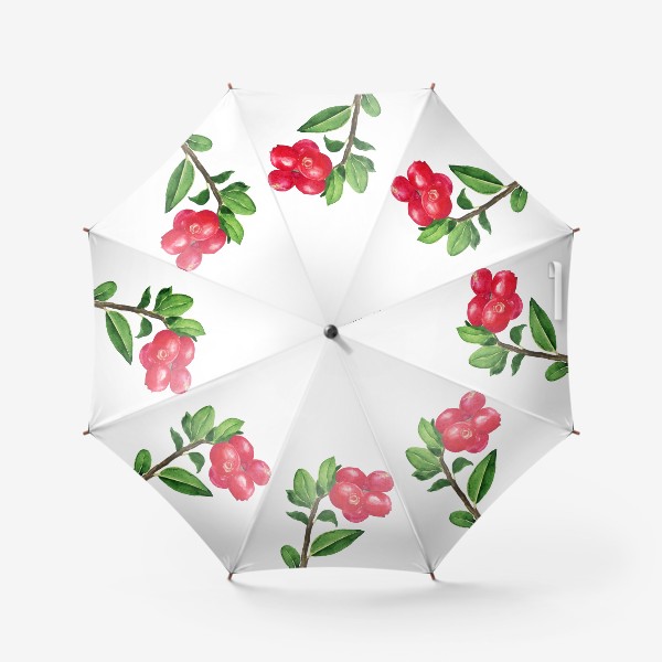 Зонт «Брусника акварельная красная ягода Карелии»
