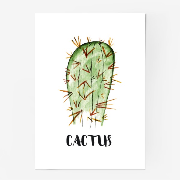 Постер «Кактус акварелью cactus»
