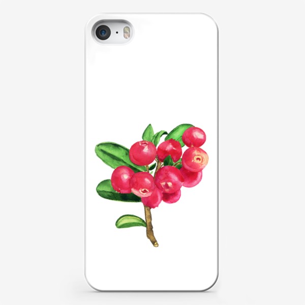 Чехол iPhone «Акварельная брусника красная ягода севера»