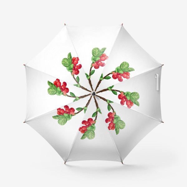 Зонт «Брусника акварельная вкусная ягода красная »