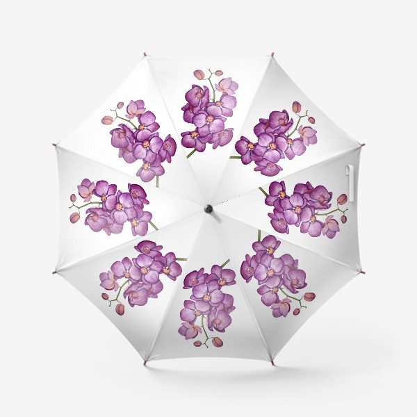 Зонт «Орхидея. Акварель.»