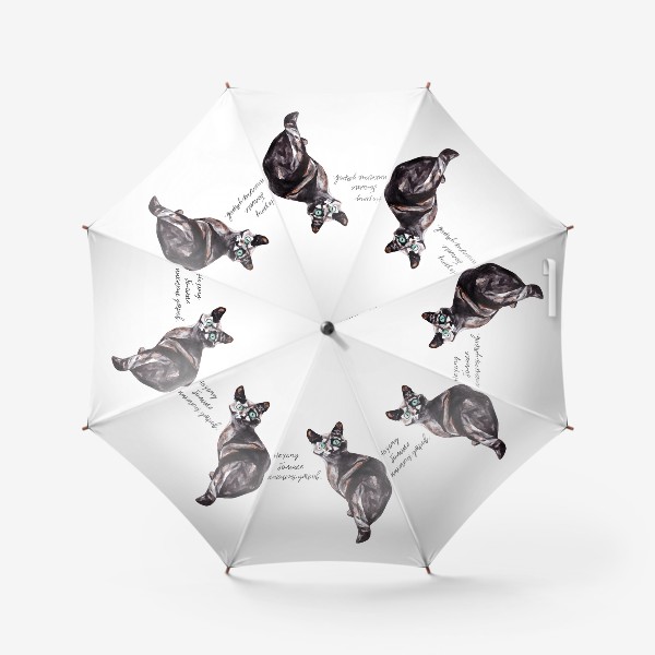 Зонт «Кот с надписью акварелью »