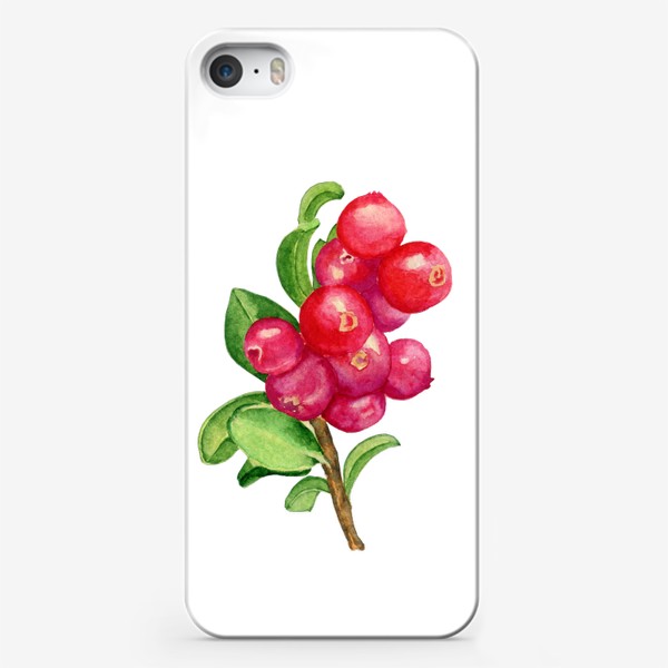 Чехол iPhone «Ягода брусника акварельная, северная Карелия»