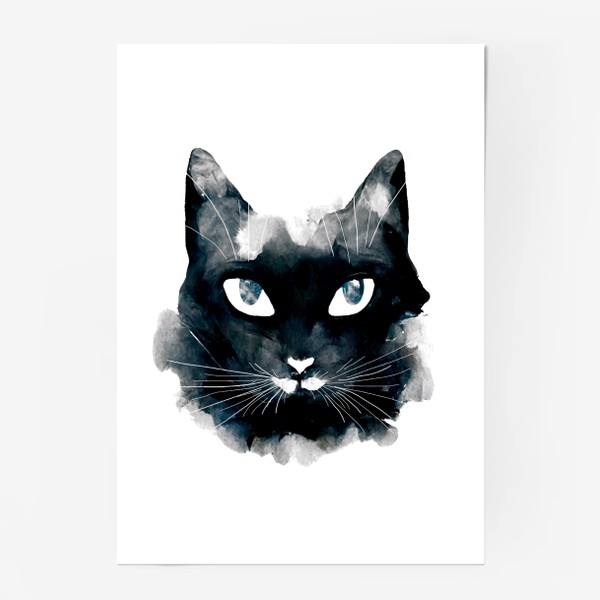 Постер «Черно-белый кот»