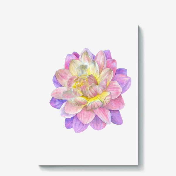 Холст «Цветы Фиолетовая Хризантема Подарок»