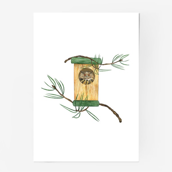 Постер &laquo;Филин или сова в скворечнике, акварельная лесная птица&raquo;