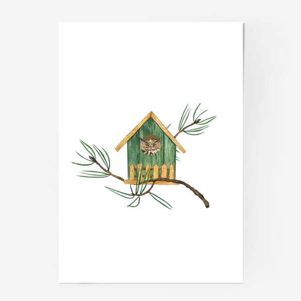 Постер «Птица сова в скворечнике, акварельный домик и веточка сосны»