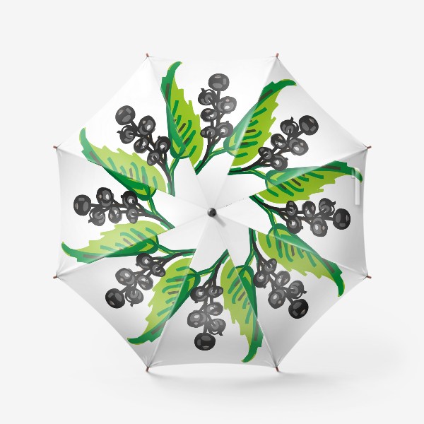 Зонт «скетч черные ягоды черемуха (смородина) растение»