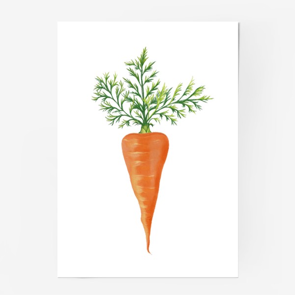 Постер «Морковь»