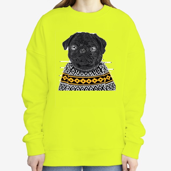 Свитшот «Собака в свитере»